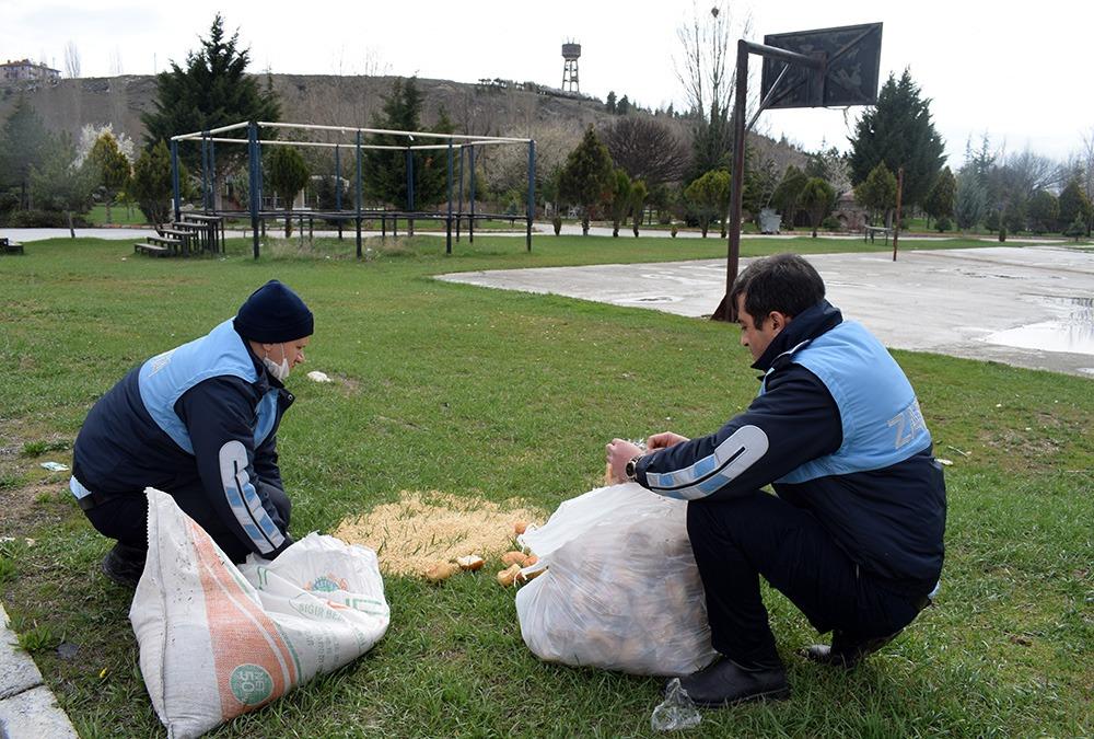 “İlçemizde yaşayan tüm canlılar bizim sorumluluğumuzda”