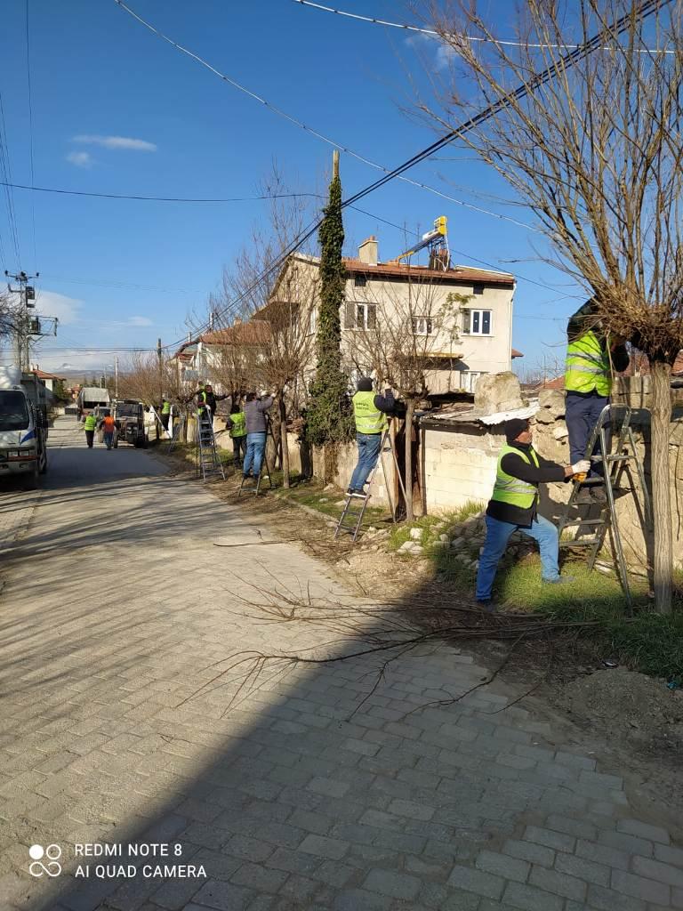 Mevsimsel ağaç budama çalışmaları devam ediyor