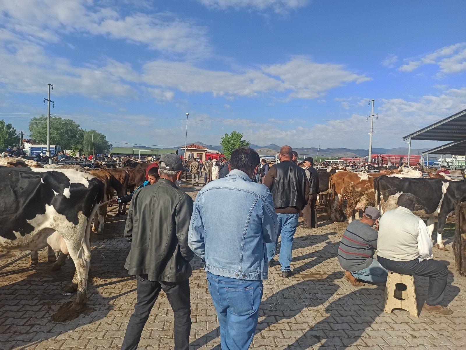 Kurban pazarında hareketlilik başladı