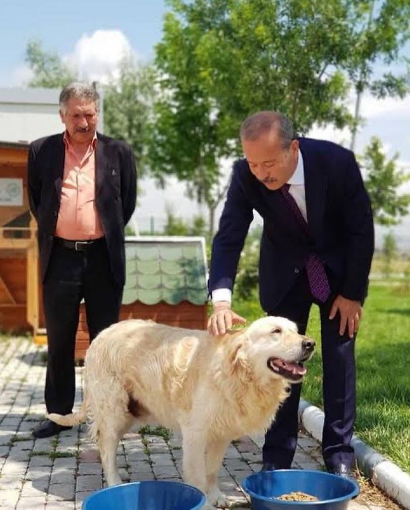 Sokak hayvanlarına mama dağıtıldı