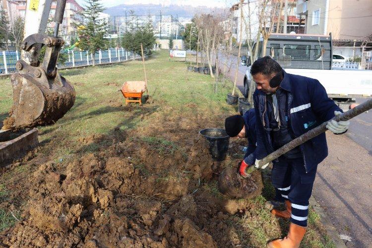 Kocaeli İzmit Yeşilova Mahallesi'nde bitkilendirme çalışması