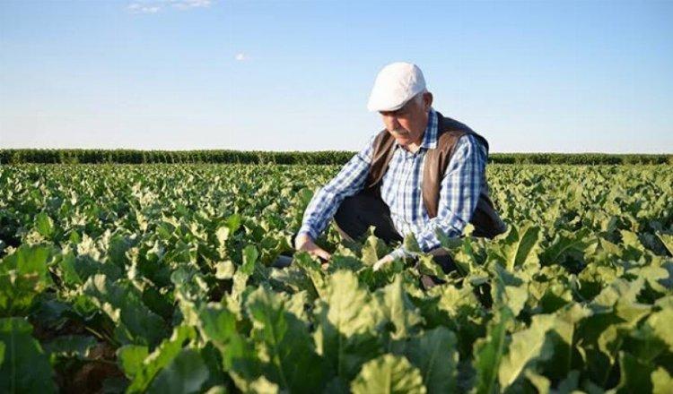 Bursa'da tarım sektörünün sorunları... Tarım yaşa takılıyor