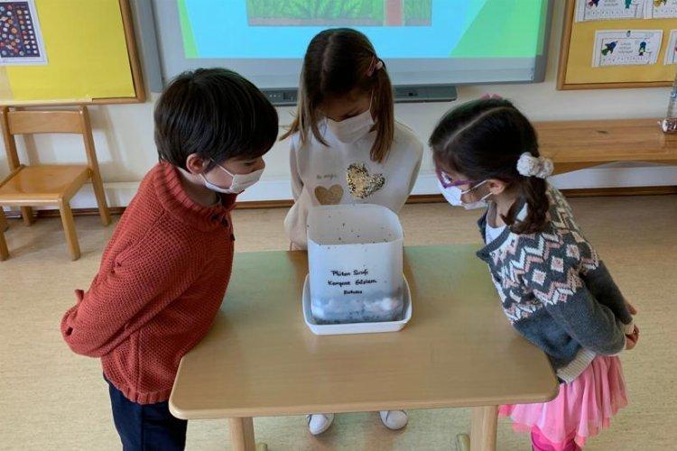 İTÜ'nün 'Canlı Ansiklopedim'ne 'kalite' etiketi