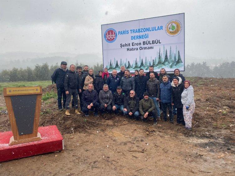 Paris Trabzonlular'dan 'Eren Bülbül' anısına Bursa'da hatıra ormanı