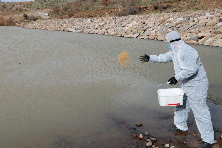 Kayseri Talas'ta sinek ve haşerata erken önlem