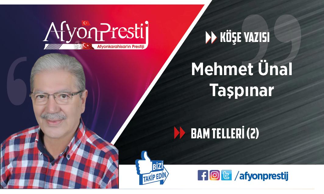 BAM TELLERİ (2)