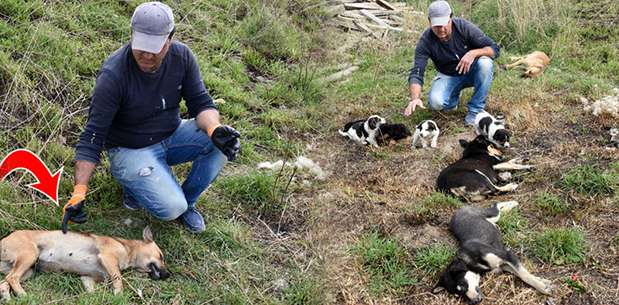 Çanakkale'de katliam!.. 15 gün sonra doğum yapacaktı!