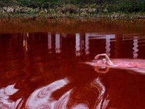 Ruta Meilutyte Rusya'yı protesto için kırmızıya boyadığı gölette yüzdü