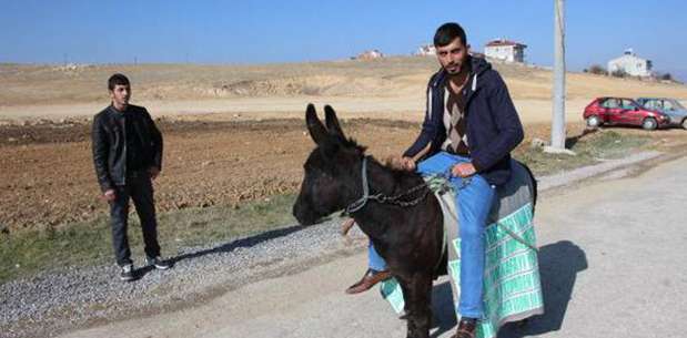 Akaryakıt zammı otomobilden indirip eşeğe bindirdi