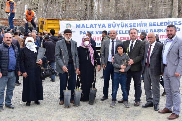 Malatya'da kayısıya alternatif meyve fidanları dağıtıldı