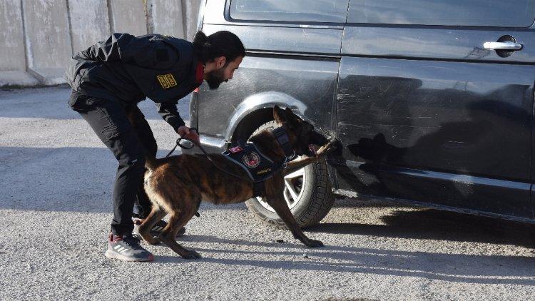 Hakkari'de dedektör köpekler polisin büyük destekçisi