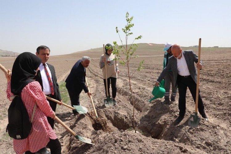 Kayseri Kocasinan 'Vuslat Ormanı' ile nefes alacak