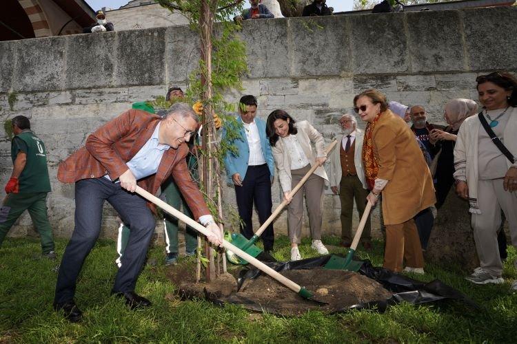 Üsküdar'da Mor Salkım Şenliği ile bahar geldi