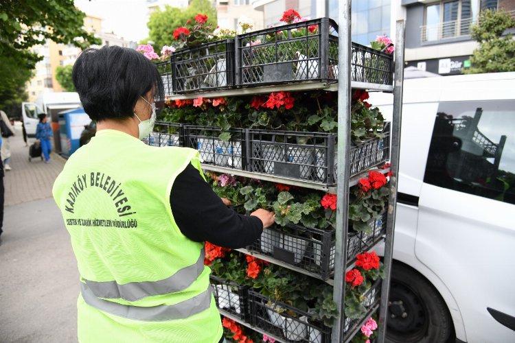 İstanbul Kadıköy'de 80 yaş üstü annelere sardunya