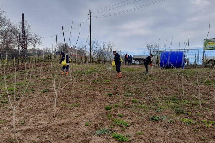 Kocaeli İzmit'te ipek böcekçiliği projesinde sona gelindi