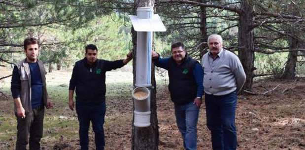 Yaban hayvanları için özel yemlik