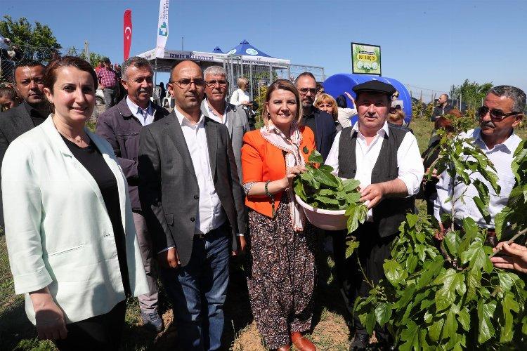 Kocaeli İzmit Belediyesi İpek Böceği Besleme Evi’ni hizmete açtı