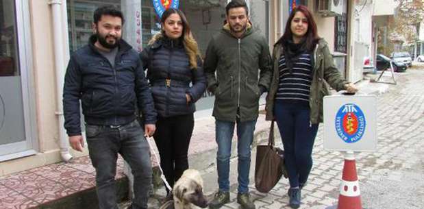 Öğrenciler, yolda buldukları bitkin köpeği tedavi ettirdi