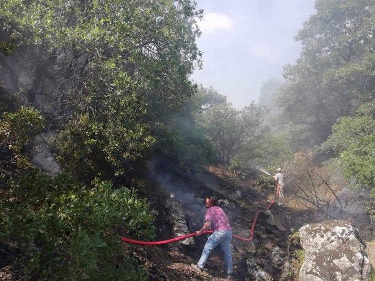 Bilecik Pazaryeri'nde orman yangını... 2 dekarlık alan zarar gördü