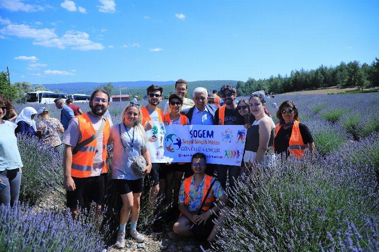 Muğla'da Lavanta Şenliği başladı