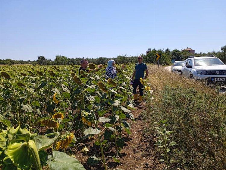 Bursa’da Mudanya kırsalındaki 10 mahalleye etkin ilaçlama çağrısı