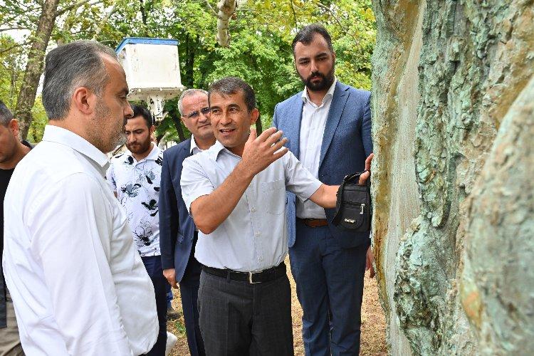 Bursa'da 'Çınar Hekimleri' iş başında
