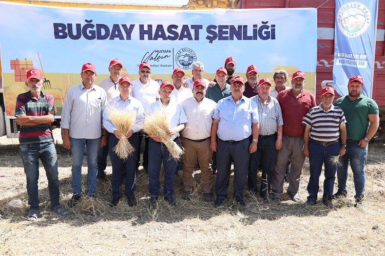 Kayseri Talas'ta hasat vakti