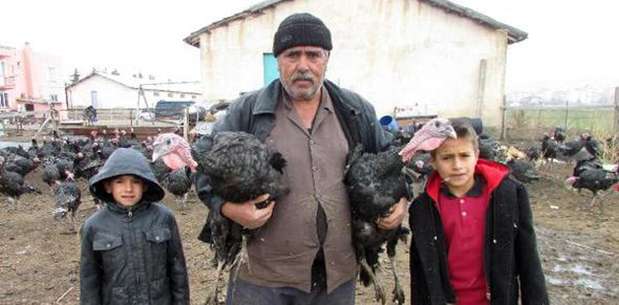 Yılbaşına kadar tüm hindilerini satmak istiyor