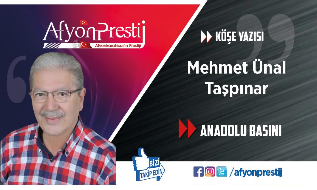 ANADOLU BASINI