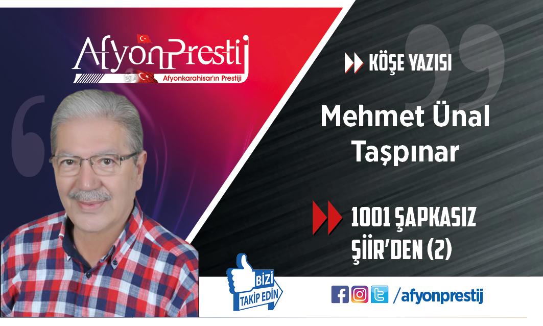 1001 ŞAPKASIZ ŞİİR'DEN (2)