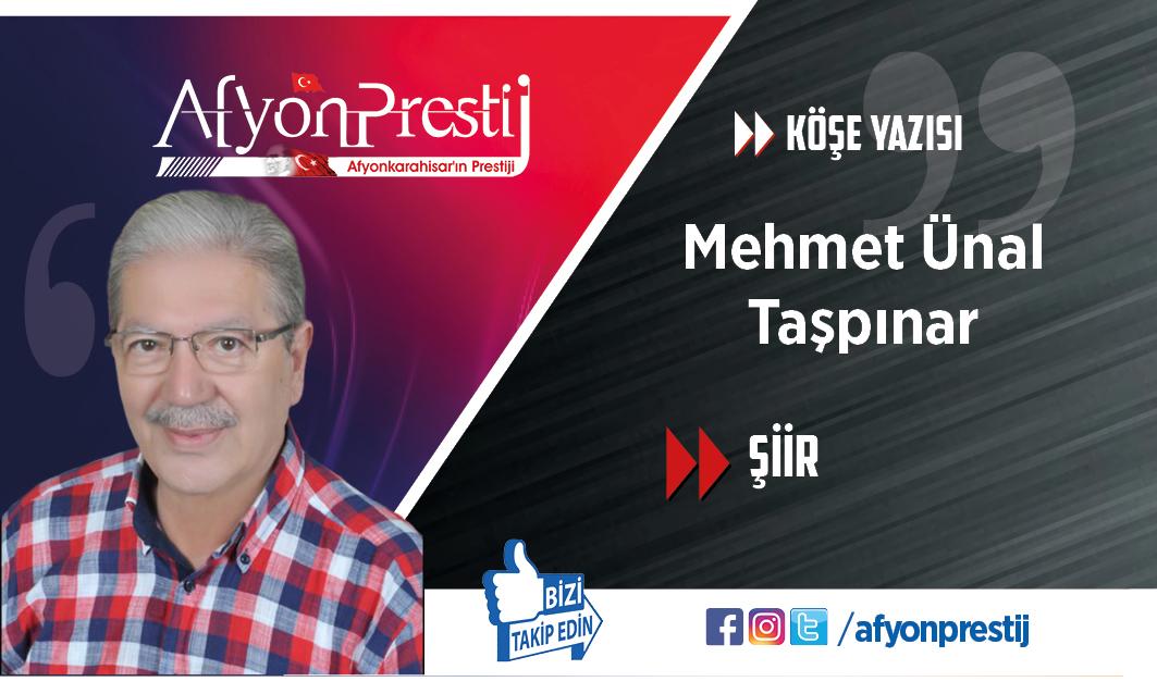 ŞİİR 