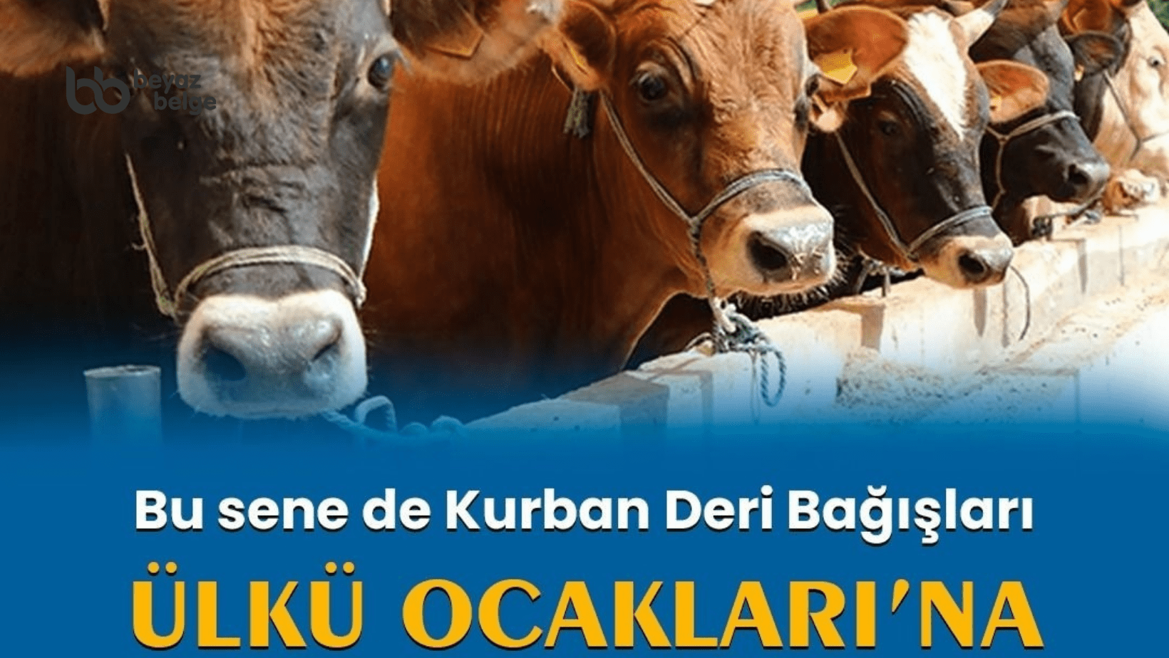 “Kurban Derileri Ülkü Ocakları'na"