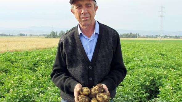 Maliyet artıp, ekim alanı azalınca, patates fiyatı tavan yaptı