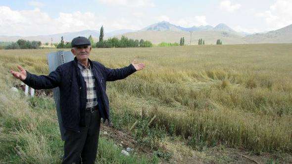 Afyonkarahisar'da dolu ve yağmur patates tarlalarına zarar verdi