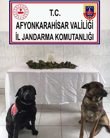 Jandarmadan uyuşturucu operasyonu