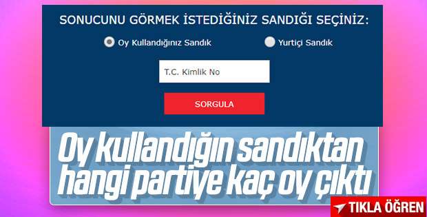 Sandık sorgulama