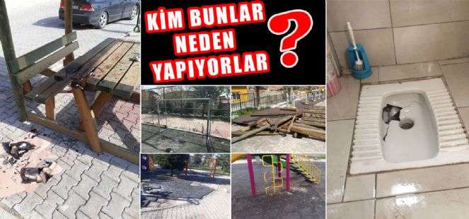 KİM BUNLAR, NEDEN YAPIYORLAR?...