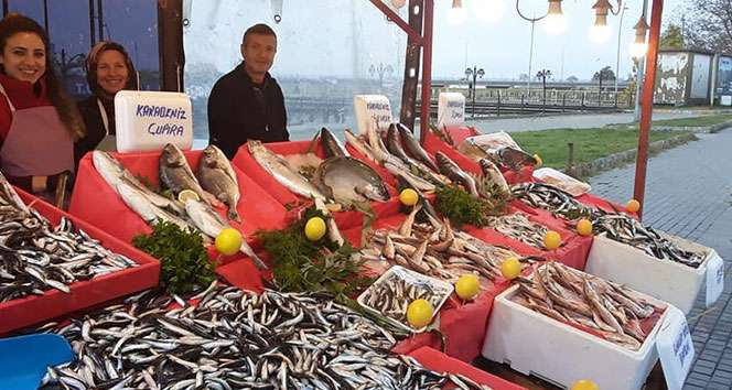 Havalar soğudu hamsi fiyatları tavan yaptı