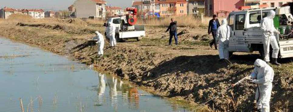 Afyon'da uçkun mücadelesi