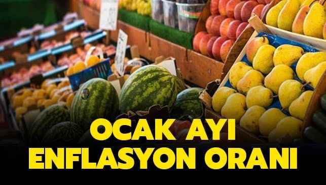 Ocak ayı enflasyon rakamları açıklandı