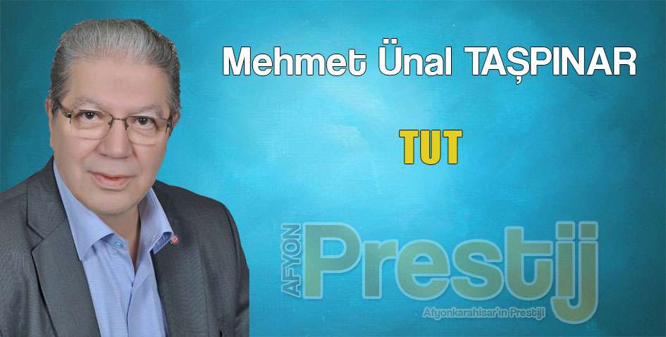 TUT