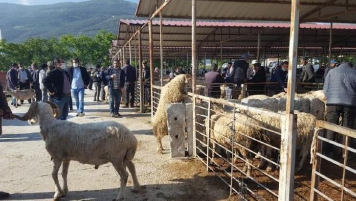 Çay hayvan pazarı açıldı