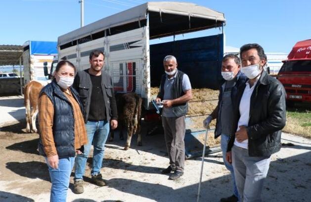 Sandıklı hayvan pazarı açıldı