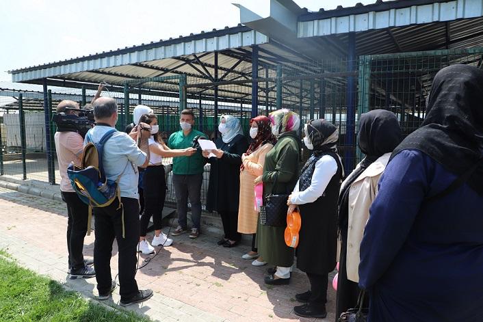 AK Kadınlardan barınakta yaşayan sokak hayvanları için mama desteği