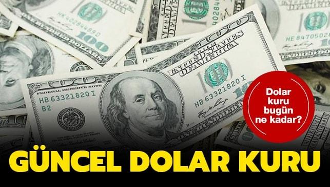 Dolar ve euro ne kadar oldu? (25 Haziran 2020)