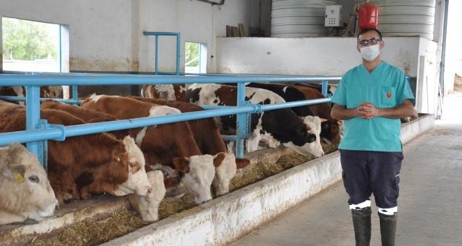 Tedavi için gittiği hayvan çiftliklerinden etkilendi ve kendi çiftliğini kurdu