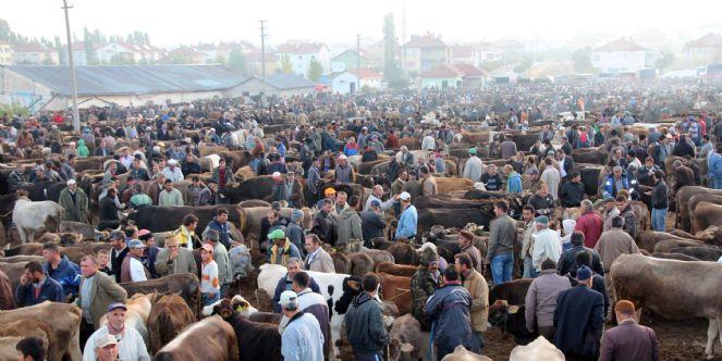 BELEDİYE KURBAN BAYRAMI'NA HAZIR