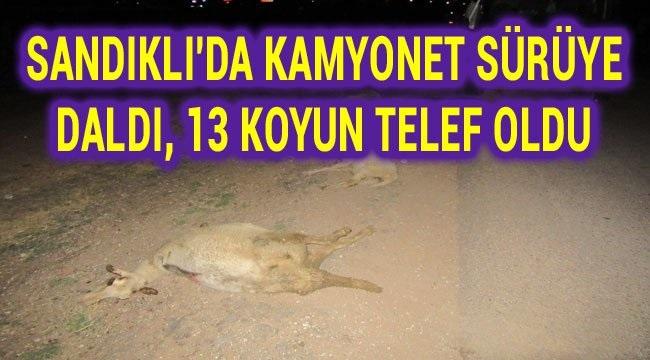 Kamyonet sürüye daldı, 13 koyun telef oldu