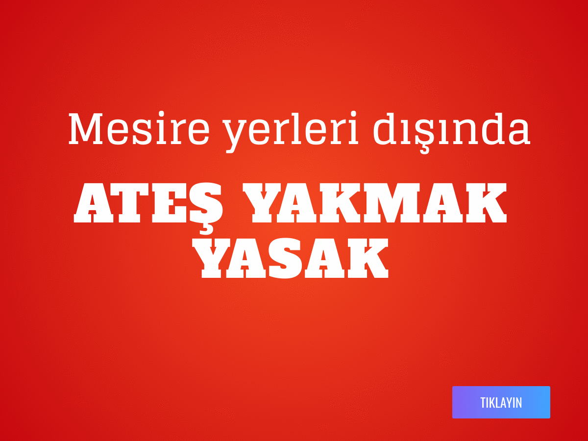 Mesire alanları dışında ateş yakmak yasaklandı