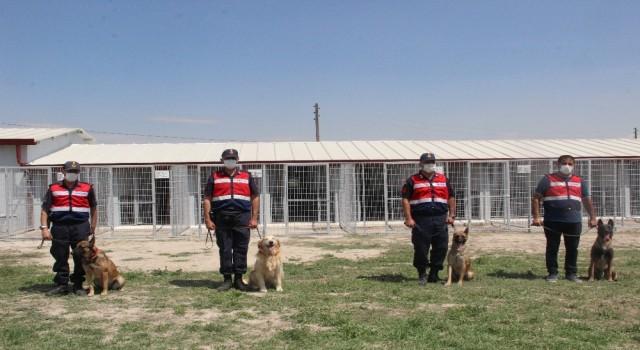 Askeri personel gibi eğitimden geçip parkurda ter döküyorlar